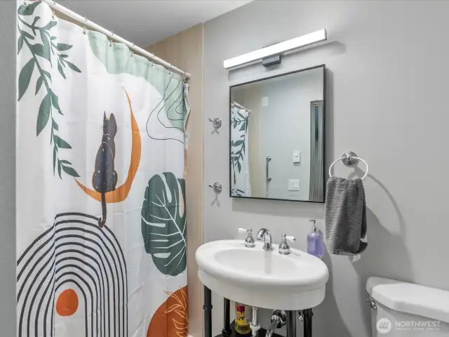 Lower level 3/4 ensuite bath