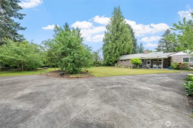 Backyard view with open space and surrounding greenery.