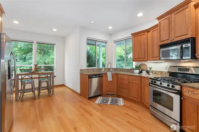 Corner sink flanked by windows to green