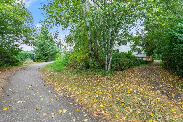 Well-maintained public trail leads to shopping, services and a stunning view of Mt Baker!