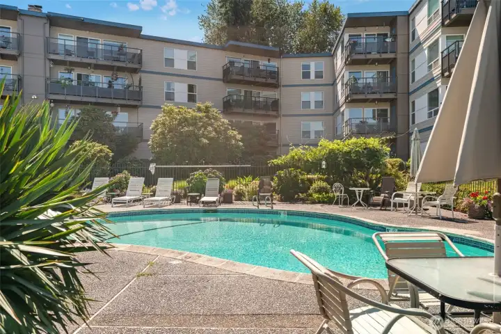 Community pool.