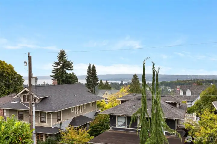 Pretty views of Lake WA , 520 bridge and mountains from primary bedroom