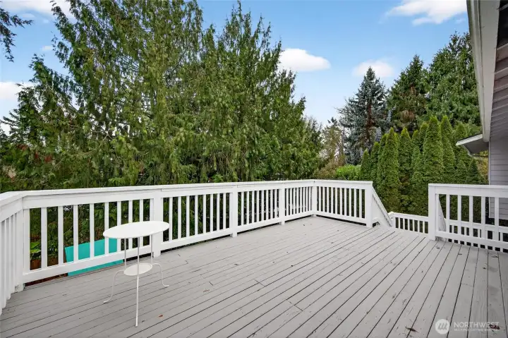 Large back deck