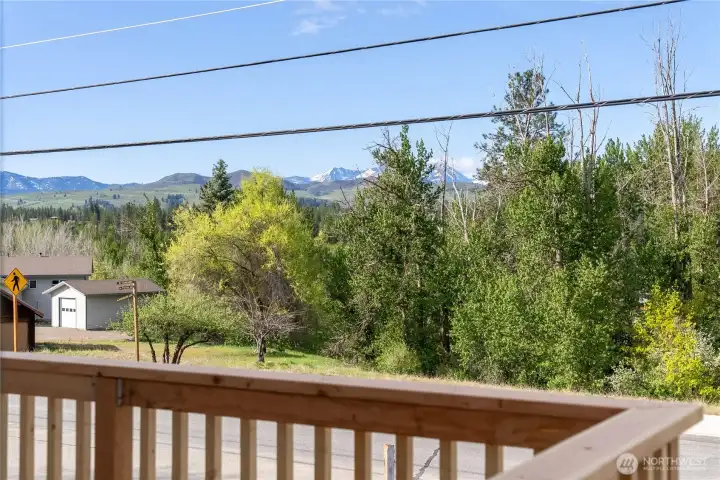 A vibrant stand of cottonwoods- deer, turkeys and songbirds out your door!