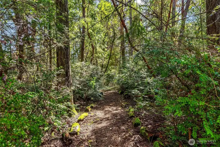 A charming pathway leads toward the road