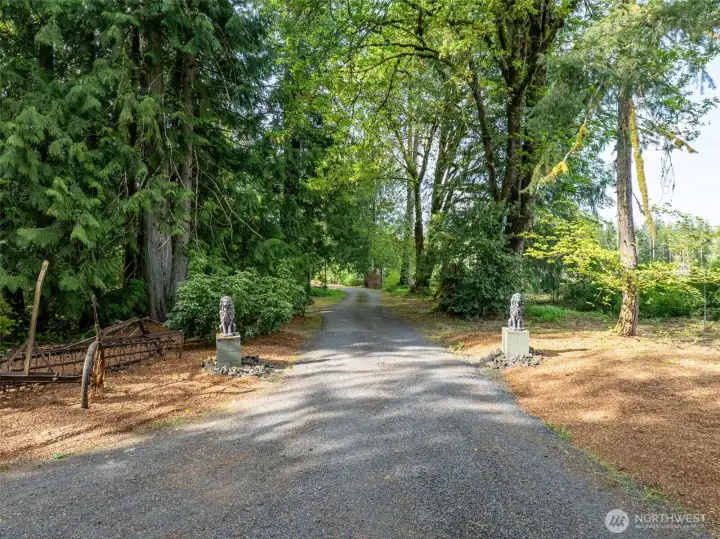 Majestic driveway.  Leads to an amazing oasis.