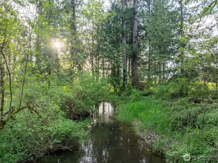 There are trails leading to your very own piece of Lacamas Creek.