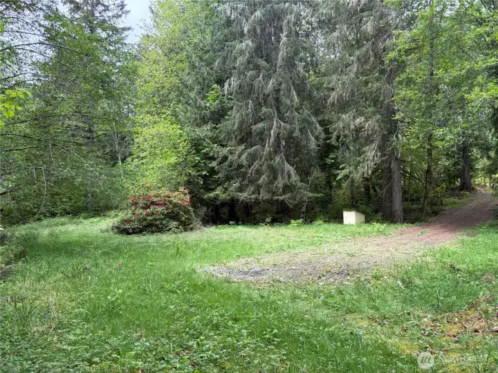 Established driveway, well, septic with PUD power. The old above ground power has been disconnected but power poles are still in place.