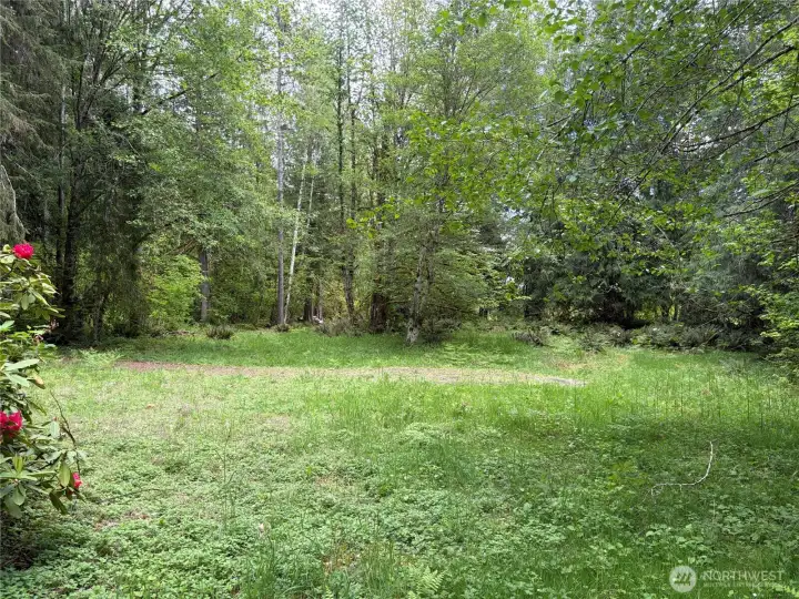 Established driveway into the cleared homesite with well, septic and Mason County PUD at the road.