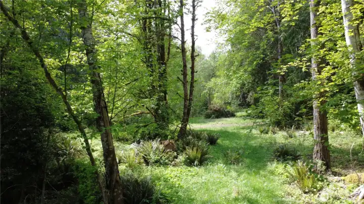 Looking West, property is level and accessible.