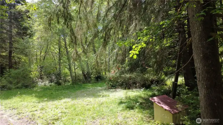 Looking South from main driveway with well, power box and Rhododendrons.