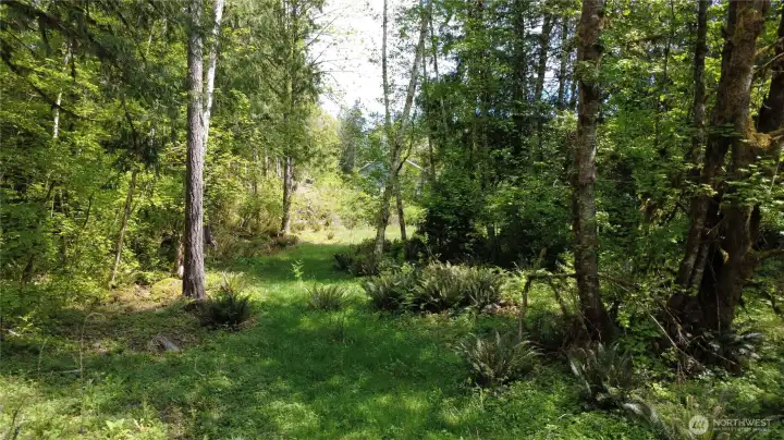 Looking East towards the eastern edge of property. Established nieghbor to the East.