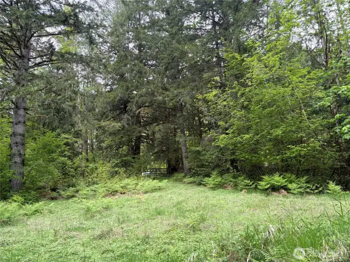 Cleared area inside the second entrance.