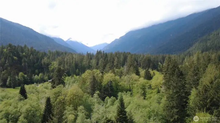 Your gateway to the Duckabush River Valley!