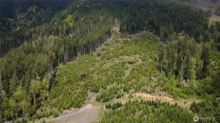Short walk to down Duckabush Rd to acres of DNR property.