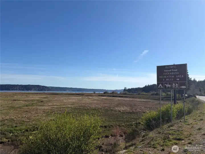 Short drive from the property to the Duckabush River estuary and public tidelands or Duckabush Recreation area!