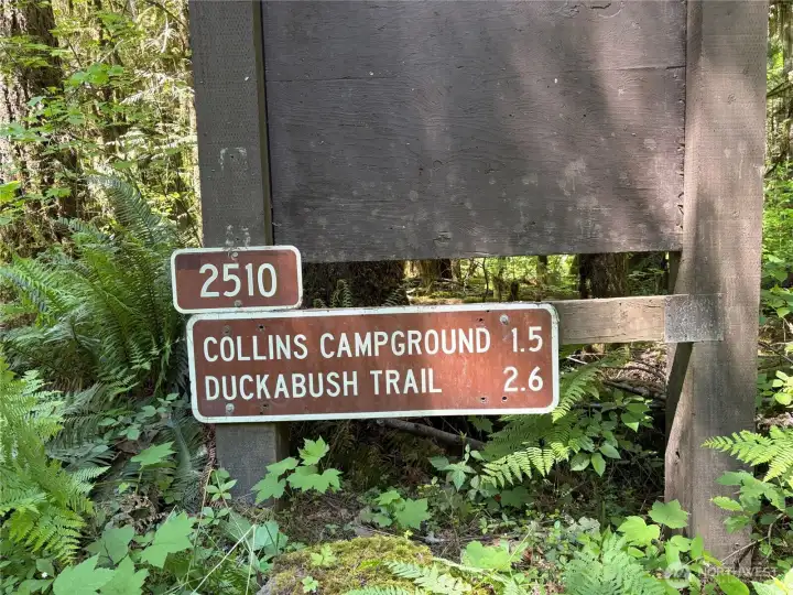 Duckabush Recreational area less than 2 miles up the Duckabush River Rd from the property.