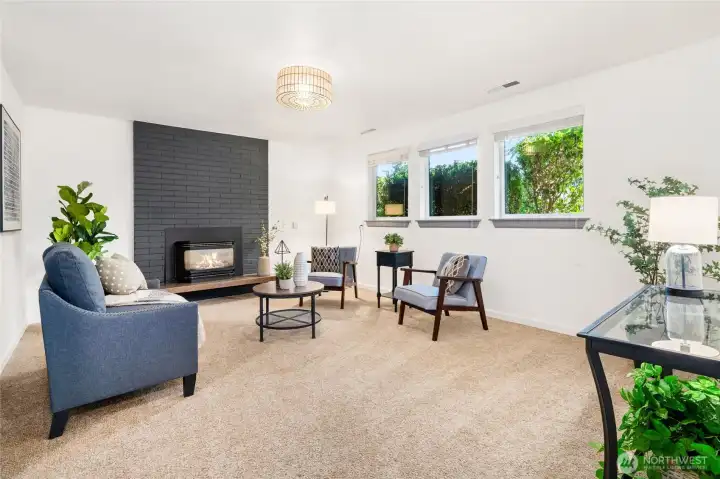 Lower family room features plenty of light.