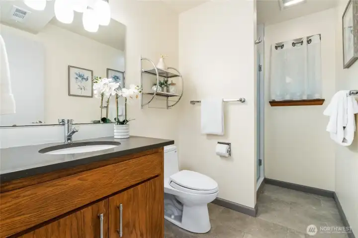 Lower level 3/4 bath.