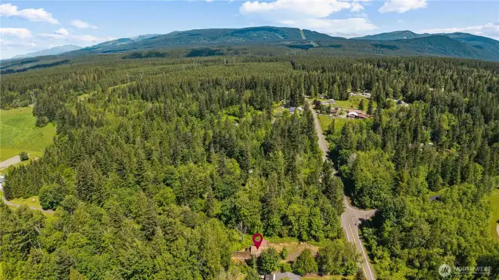 More trees than people!