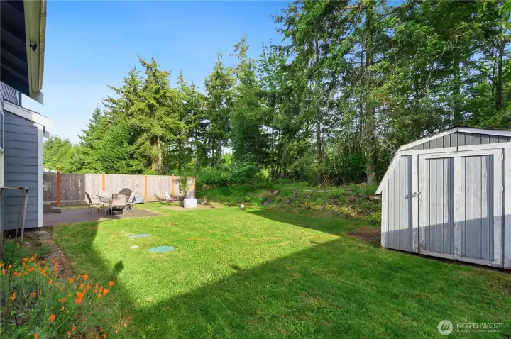 Large backyard with storage shed and firepit Large backyard with storage shed and firepit