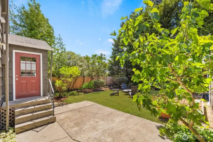 Spacious private backyard