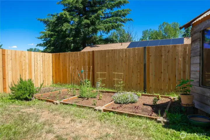 Nice sunny yard for a garden. Nice sunny yard for a garden.
