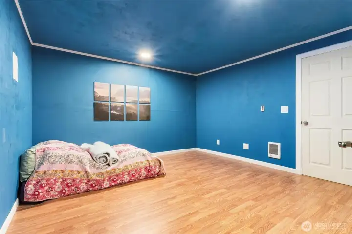 Lower level flex/bonus room