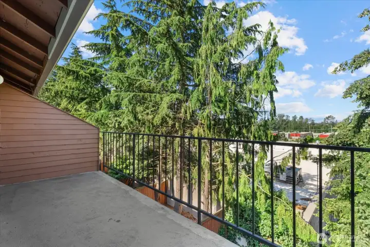 Primary bedroom balcony.