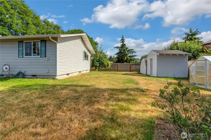 Fully fenced back yard