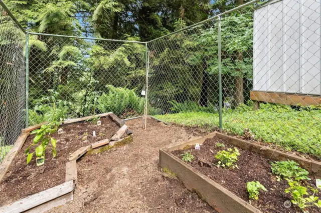 Fenced fruit, veggie, and herb garden.