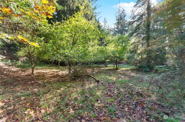 Here is view of large flat area with lots of apple and pear trees to enjoy