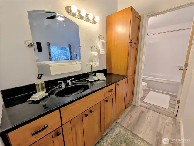 Primary bath with jetted tub and walk in closet.