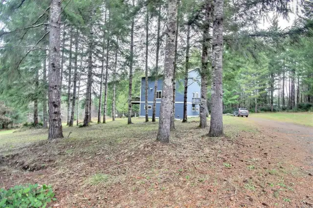 House through the trees from the shop