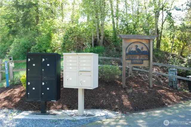 Use the South Gate to visit home for sale