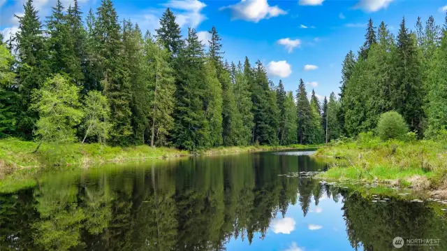 Here is the lake - beautiful and ready for you to explore