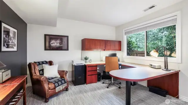 Lower level bedroom makes a lovely office space with large window and view