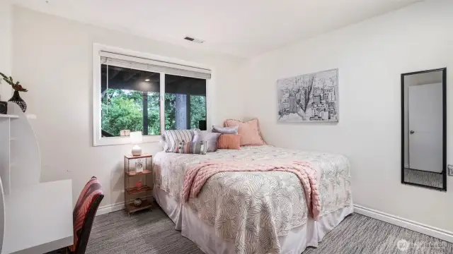 Second bright and generous in size lower level bedroom