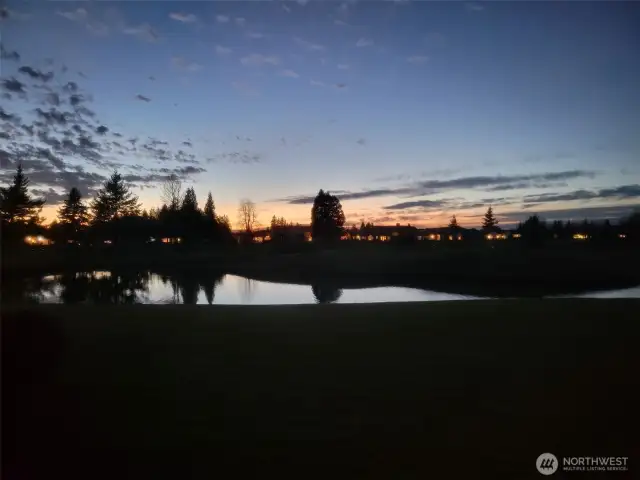 Summer evening at the pond!