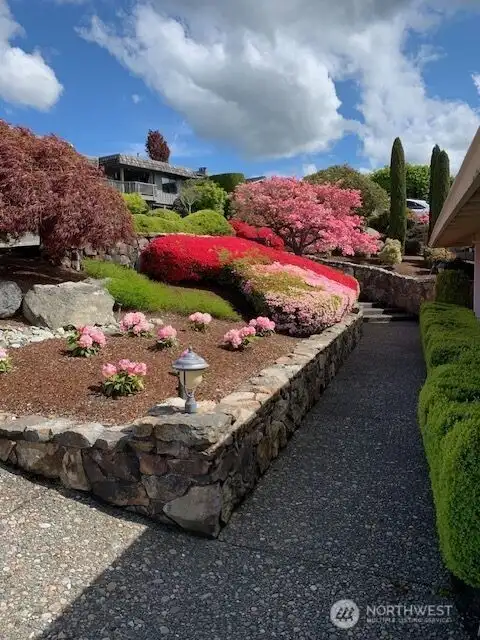 Spring beautiful flowers and tree