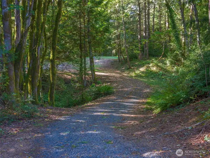 Private driveway to home. Ample room ADU's or a detached shop/garage.