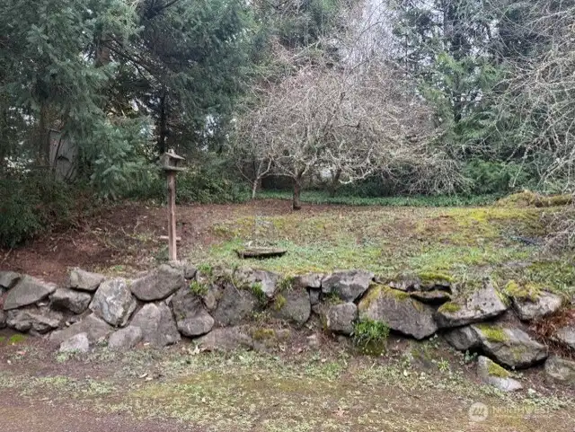 Part of Back Yard with Fruit Trees