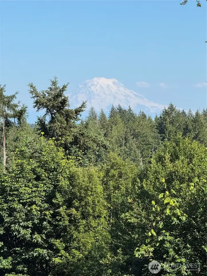 Awesome view of Mount Rainier