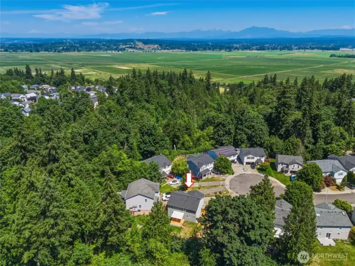Newer roof, newer siding, updated appliances, EV charger, and thoughtful improvements make this a home you'll enjoy for years to come.