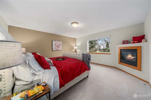 Master Suite with gas fireplace and gorgeous views! Oversized king bed with plenty of space to enjoy!