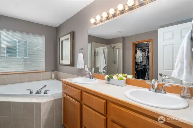 Master Suite with 5 piece bath and walk in closet! Dual vanities with plenty of counter space and light!