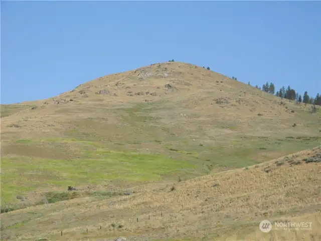 View NW of Harmony Heights Lot 8;  approx. 40 acres.