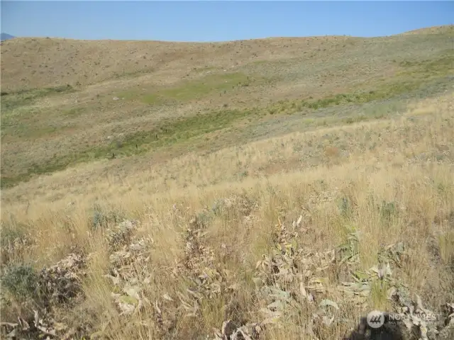 Southwest corner in green area, above center of photo