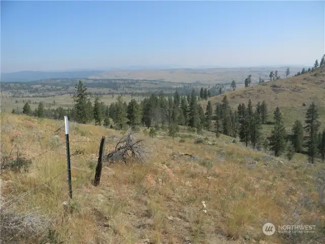 Northwest view, Swamp Creek from near NW corner