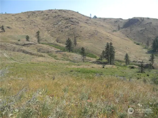 View towards Northeast corner and Bald Mountain